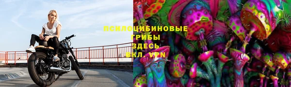 mdpv Зеленодольск