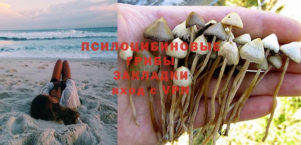 крисы Зерноград