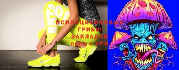 мяу мяу мука Зеленокумск